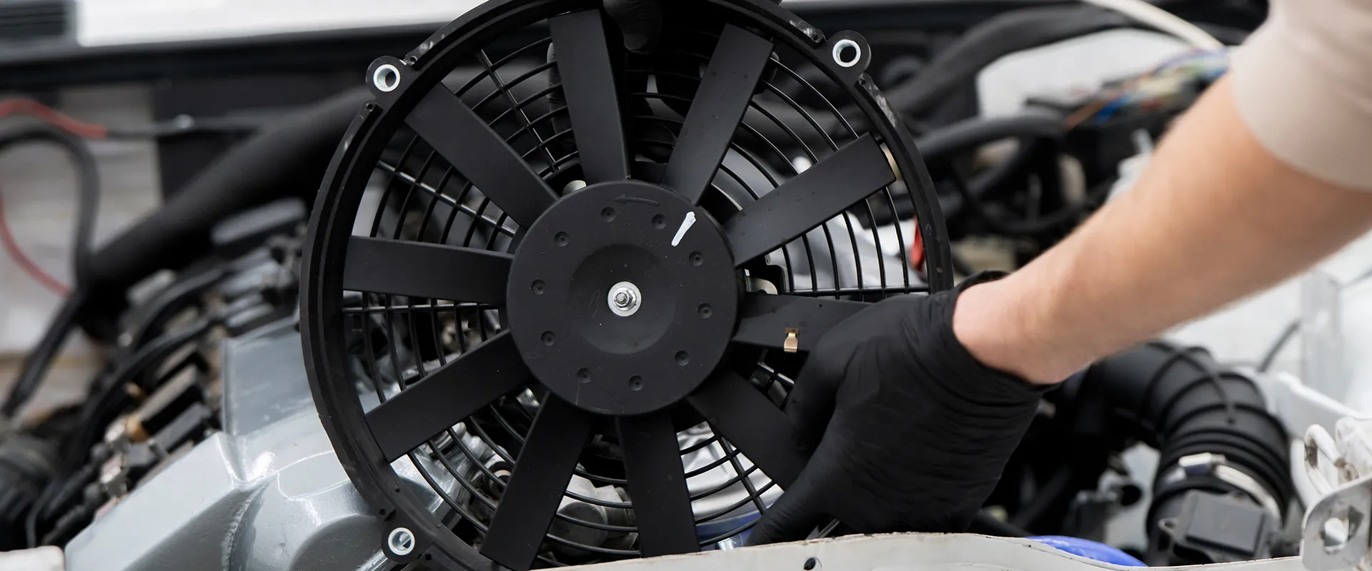 Auto Cooling System Repair in Clearwater & Pinellas Park, FL near Clearwater, FL