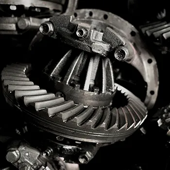 Drivetrain & Differential in Clearwater, FL