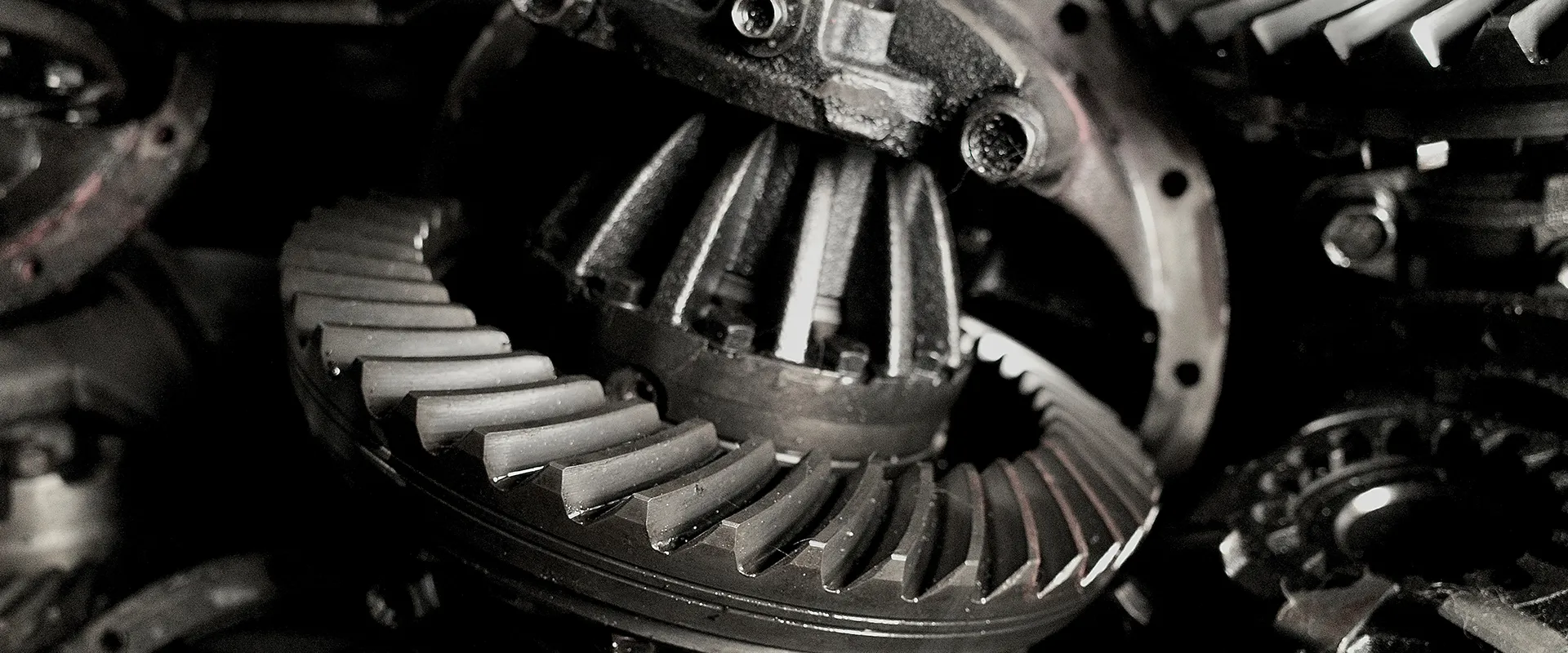 Drivetrain & Differential near Clearwater, FL